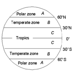   -In the map of Earth, where do the trade winds occur? A)  in the regions labeled A B)  in the regions labeled B C)  in the regions labeled C D)  in the regions labeled A, B, and C