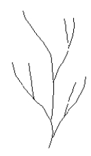   -What type of drainage pattern is depicted in the map? A)  dendritic B)  radial C)  rectangular D)  trellis