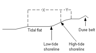   -The area labeled  X  is called the ______________. A)  backshore B)  foreshore C)  surf zone D)  swash zone
