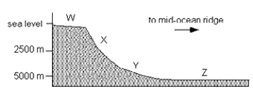 Use the schematic topographic profile of the Atlantic Ocean seafloor from New England to the mid-ocean ridge below to answer the following:    -The area labeled  Z  is the __________. A)  abyssal plain B)  continental rise C)  continental shelf D)  continental slope
