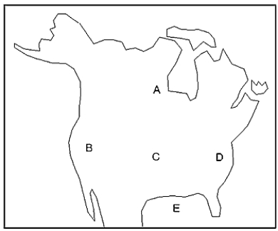 <strong>  -Which region consists of folded and faulted rocks that formed during the Paleozoic era?</strong> A) region A B) region B C) region C D) region D <div style=padding-top: 35px> 