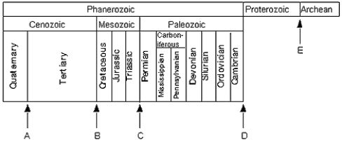 <strong> -What is the best estimate for the age of point D?</strong> A) 65 million years B) 250 million years C) 145 million years D) 542 million years