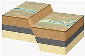   -What type of fault is depicted in the cross section above? A)  left-lateral strike-slip fault B)  reverse fault C)  normal fault D)  right-lateral strike-slip fault