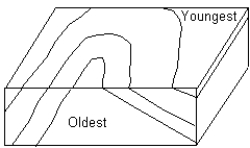   -The structure shown in the diagram above is a ___________. A)  horizontal, symmetric fold B)  plunging, symmetric fold C)  horizontal, asymmetric fold D)  plunging, asymmetric fold