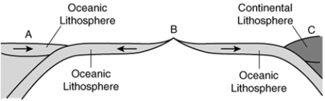 <strong>  -What type of lava is most likely to erupt at tectonic setting B?</strong> A) andesite B) basalt C) rhyolite D) All of the above are equally likely. <div style=padding-top: 35px> 