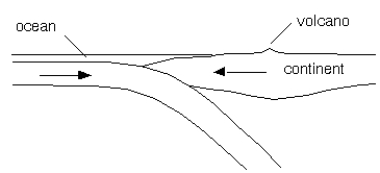   -What type of plate boundary is depicted in the cross section? A)  convergent B)  transform C)  divergent D)  cannot tell from the information given