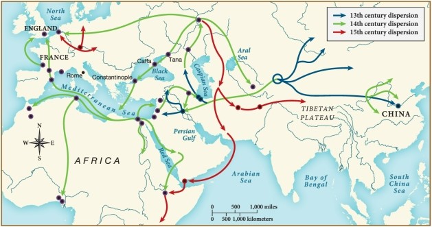 According to this map, the plague only reached England by the ​   ​ A)  twelfth century. B)  thirteenth century. C)  fourteenth century. D)  fifteenth century.