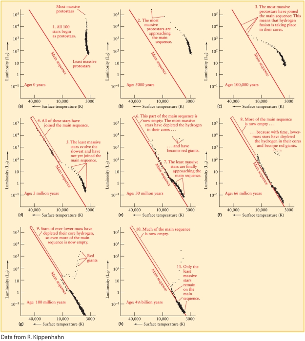 <strong>Figure 19-11 of Universe, 11th ed., shows the evolution of a hypothetical open cluster. Is there a time when the most massive stars have become red giants and the least massive stars have not yet reached the main sequence? </strong> A)No, the protostar phase is so short compared to the main-sequence phase that all protostars have reached the main sequence long before any evolve off it. B)No, the main-sequence phase is the longest, even for more massive stars, and all stars remain a great while on the main sequence before beginning evolution to red giants. C)Yes, after about 30 million years for this cluster, there are both red giants and protostars. D)Yes, after 1 billion years the least massive protostars have not yet reached the main sequence, while a few massive main-sequence stars have evolved to become red giants.
