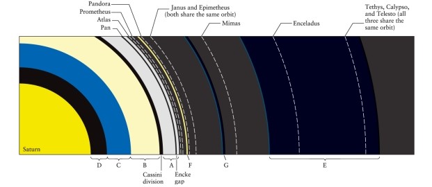 Mimas, the inner large moon of Saturn, orbits the planet at what distance compared to the rings of Saturn? (See Figure 12-24.)  ​   ​ A) outside the main ring system B) just on the inner edge of the main ring system C) in the Cassini division, between the A and B rings D) just above the planet's surface, well inside the ring system