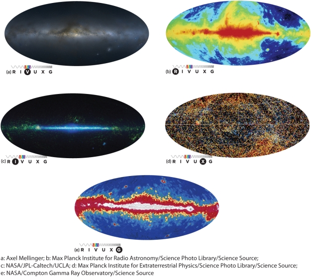 In the x-ray view of the universe (see Figure 6-32 of Universe, 11th ed.) , in the wavelength range of 0.1 to 10 nm, the brightest most intense radiation comes from: ​   ​ A) individual hydrogen atoms in interstellar space. B) dust particles in the plane of the Milky Way. C) supernova remnants. D) distant galaxies.