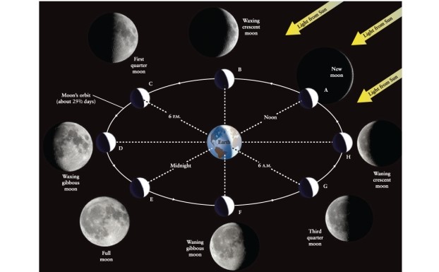 Which way will the  horns,  or sharp ends of the crescent, of the Moon point in the sky when the Moon is above the western horizon at sunset, at a phase 3 days after new moon? (Hint: Think about what causes the crescent phase of the Moon; Figure 3-2 of Universe, 11th ed., may help.)  ​   ​ A) The horn points toward the Sun, westward. B) The Moon is not crescent shaped at this phase. C) The horn points at a right angle to direction of the Sun, northward. D) The horn points away from the Sun, eastward.