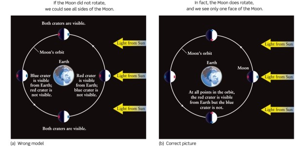 How does the Moon rotate to keep one face pointed toward Earth at all times, as can be seen in Figure 3-4 of Universe, 11th ed.? ​   ​ A) It rotates once per month. B) It rotates once per year. C) It rotates once per day. D) It does not rotate at all.