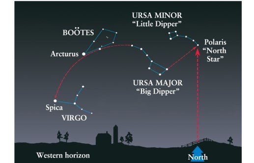 <strong>If the stars Polaris and Arcturus (as shown in Figure 2-6 of Universe, 11th ed.), are known to be 71° apart, how far away from Polaris is the closest star in Ursa Major? </strong> A)about 25° B)about 2.5° C)about 250° D)about 7.1°