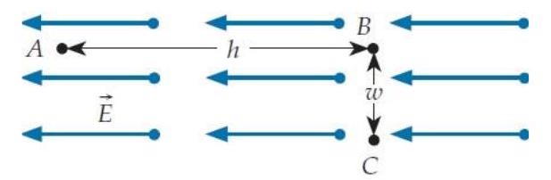  Consider a region of space where the electric field is uniform with magnitude  |\vec{E}| , as shown below.     What is the value of the specified potential difference in each case? (a)  \phi_{B}-\phi_{A}  ? (b)  \phi_{C}-\phi_{B}  ? (c)  \phi_{A}-\phi_{C}  ? Select your responses from the following choices: A.  +|\vec{E}| h  B.  -|\vec{E}| h  C.  +|\vec{E}| w  D.  -|\vec{E}| w  E.  +|\vec{E}| \sqrt{h^{2}+w^{2}}  F.  -|\vec{E}| \sqrt{h^{2}+w^{2}}  T. zero 