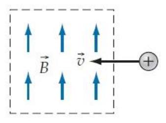 A particle whose charge has the specified sign enters a region of space where the magnetic field has the direction shown. What is the initial direction of the magnetic force acting on the particle in each case? -   A)  Forward B)  Backward C)  Rightward D)  Leftward E)  Into the paper F)  Out of the paper G)  (Zero force) 