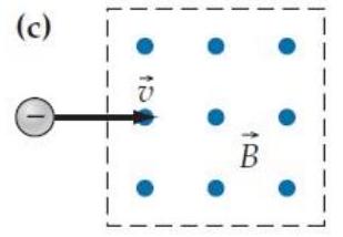 A particle whose charge has the specified sign enters a region of space where the magnetic field has the direction shown. What is the initial direction of the magnetic force acting on the particle in each case? -   A)  Forward B)  Backward C)  Rightward D)  Leftward E)  Into the paper F)  Out of the paper G)  (Zero force) 