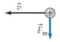 In each of the cases shown below, determine the direction of the magnetic field that is causing the charged particle to experience the magnetic force shown. -   A)  Forward B)  Backward C)  Rightward D)  Leftward E)  Into the paper F)  Out of the paper G)  Impossible