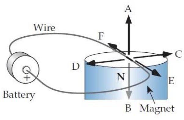 Suppose we have a very flexible wire which we place on top of the north pole of a permanent magnet as shown. When we connect the wire to a battery as shown, which way will the segment of wire (marked in black)  at the center of the magnet's pole be pushed?   A) A B) B C) C D) D E) E F) F