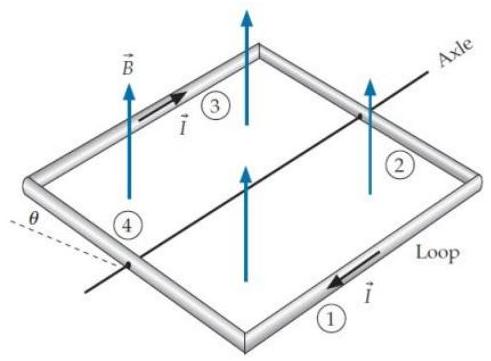  Consider the current-carrying loop shown below. The magnetic field is vertical, but we are holding the loop so it is tilted at an angle  \theta  with respect to the horizontal, with its back leg (leg 3 )  higher than its front leg (leg 1 ) . If we release the loop, which way will it turn around its axle?   A)  Clockwise} B)  Counterclockwise C)  The loop is not affected by the magnetic field. 