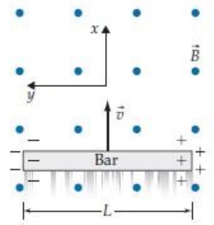 Consider the situation shown in problem E11T. 1 (before charges have time to pile up at the bar's ends).    -(b) There is a magnetic field in the bar's rest frame.
