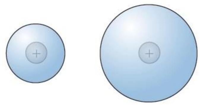 The spherical gaussian surfaces shown below surround the same total charge.   Through which sphere is the total electric flux larger? A)  The smaller sphere. B)  The larger sphere. C)  The flux through both spheres is the same. D)  One cannot determine the relative fluxes from the information that we are given.