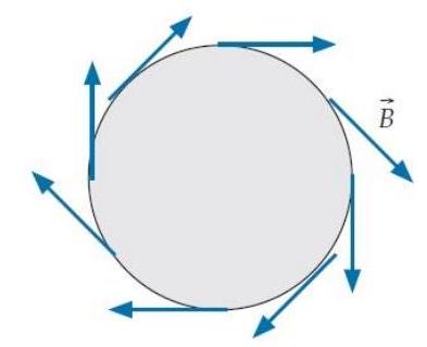  Assume that the tile vectors for tiles on the surface shown below point toward us. What is the sign of the current  i  that flows through this surface?   A)  The signed current  i  is positive. B)  The signed current  i  is negative. C)  The signed current  i  is zero. D)  One cannot determine i's sign from what is given. 