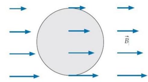  Assume that the tile vectors for tiles on the shaded surface shown below point toward us. What is the sign of the current  i  that flows through this surface?   A)  The signed current  i  is positive. B)  The signed current  i  is negative. C)  The signed current  i  is zero. D)  One cannot determine i's sign from what is given. 