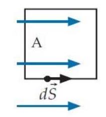 The loops shown below are immersed in a uniform magnetic field parallel to the plane of the drawing. (The step vector shown is a typical one for each loop.)  A)    B)    C)    D)   E)  E