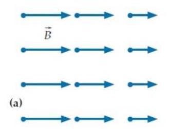 Each of the four diagrams below shows a hypothetical magnetic field in a certain region of empty space where the electric field is constant in time. -(a)    Which of the fields are physically impossible and why? A)  This field violates the Ampere-Maxwell law. B)  This field violates Gauss's law for the magnetic field. C)  The field violates both of the above laws. D)  This field is physically possible.