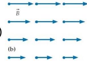 Each of the four diagrams below shows a hypothetical magnetic field in a certain region of empty space where the electric field is constant in time. -(b)    Which of the fields are physically impossible and why? A)  This field violates the Ampere-Maxwell law. B)  This field violates Gauss's law for the magnetic field. C)  The field violates both of the above laws. D)  This field is physically possible.