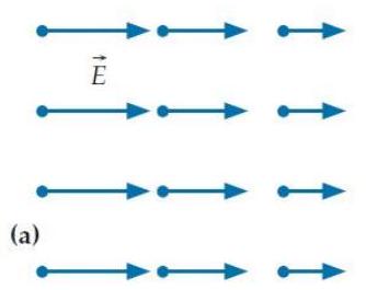 Each of the four diagrams below shows a hypothetical electric field in a certain region of empty space where the magnetic field is constant in time. -(a)    Which of the fields are physically impossible and why? A)  This field violates Faraday's law. B)  This field violates Gauss's law. C)  This field violates both of the above laws. D)  This field is physically possible.
