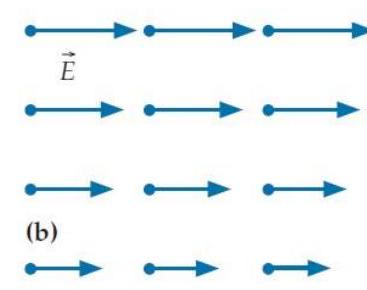 Each of the four diagrams below shows a hypothetical electric field in a certain region of empty space where the magnetic field is constant in time. -(b)    Which of the fields are physically impossible and why? A)  This field violates Faraday's law. B)  This field violates Gauss's law. C)  This field violates both of the above laws. D)  This field is physically possible.