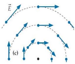 Each of the four diagrams below shows a hypothetical electric field in a certain region of empty space where the magnetic field is constant in time. -(c)    Which of the fields are physically impossible and why? A)  This field violates Faraday's law. B)  This field violates Gauss's law. C)  This field violates both of the above laws. D)  This field is physically possible.