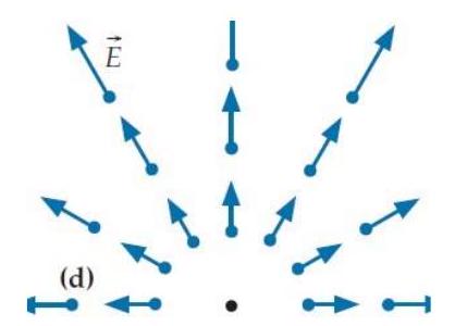 Each of the four diagrams below shows a hypothetical electric field in a certain region of empty space where the magnetic field is constant in time. -(d)    Which of the fields are physically impossible and why? A)  This field violates Faraday's law. B)  This field violates Gauss's law. C)  This field violates both of the above laws. D)  This field is physically possible.
