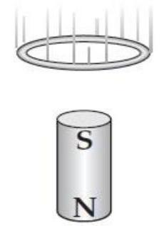 A circular conducting loop falls toward a bar magnet, as shown in the diagram below.    -(a)  In which direction does current flow in the loop? A)  Clockwise (when viewed from above) . B)  Counterclockwise (when viewed from above) . C)  No current flows in this loop. D)  We need more information to answer.
