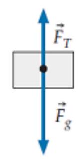  The drawing shown is supposed to be a free-body diagram of a crate that is being lowered by a crane and is speeding up as it is being lowered. Is the diagram correct? (Ignore air resistance.)    A)  Yes. B)  No,  \vec{F}_{T}  should be labeled  \vec{F}_{N}  C)  No,  \left|\vec{F}_{T}\right|  should be equal to  \left|\vec{F}_{g}\right| . D)  No,  \left|\vec{F}_{T}\right|  should be greater than  \vec{F}_{K F}  E)  No, there should be an upward drag force  \left|\vec{F}_{D}\right|  F)  No, there is some other problem (specify) . 