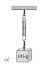  A spring scale typically indicates the magnitude of the tension force exerted on its bottom hook. What will the scale read in each of the cases shown in the diagram? (Hint: Draw a free-body diagram for the scale in each case.)  -   A)   49 \mathrm{~N}  B)   98 \mathrm{~N}  C)   196 \mathrm{~N}  D)  Other (specify)   
