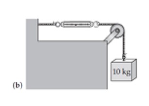  A spring scale typically indicates the magnitude of the tension force exerted on its bottom hook. What will the scale read in each of the cases shown in the diagram? (Hint: Draw a free-body diagram for the scale in each case.)  -  A)   49 \mathrm{~N}  B)   98 \mathrm{~N}  C)   196 \mathrm{~N}  D)  Other (specify)  