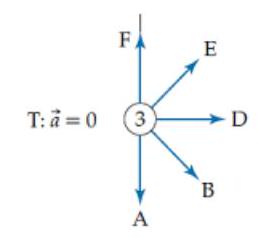   Which one of the arrows below most closely indicates the direction of the bob's acceleration when it is at point 3 ?   A) A B) B D) D E) E F) F 