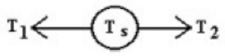  A rope is connected to a spring scale on the left and exerts a force  T_{1} . Another rope is connected to the scale on the right and exerts a force  T_{2} . The scale shows a reading of  T_{s}=120 \mathrm{~N} . The values of  T_{1}  and  T_{2}  are   A)   \mathrm{T}_{1}=80 \mathrm{~N} , and  \mathrm{T}_{2}=120 \mathrm{~N} . B)   \mathrm{T}_{1}=80 \mathrm{~N} , and  \mathrm{T}_{2}=80 \mathrm{~N} . C)   \mathrm{T}_{1}=240 \mathrm{~N} , and  \mathrm{T}_{2}=240 \mathrm{~N} . D)   \mathrm{T}_{1}=120 \mathrm{~N} , and  \mathrm{T}_{2}=120 \mathrm{~N} . 
