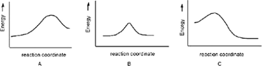 Which reaction is slowest?   A)  B B)  C C)  A