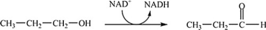 Which coupled reaction properly indicates the role of the coenzyme as an oxidizing agent? A)    B)    C)    D)   