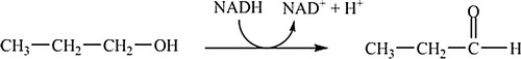 Which coupled reaction properly indicates the role of the coenzyme as an oxidizing agent? A)    B)    C)    D)   