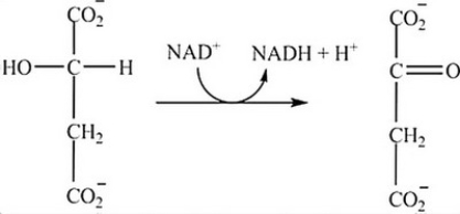 What is the classification of the reaction shown?   A)  Isomerization B)  Hydrolysis C)  Redox D)  Decarboxylation