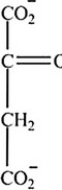 Which intermediate in the citric acid cycle is a secondary alcohol? A)     B)  Two of the intermediates are secondary alcohols. C)     D)     E)   