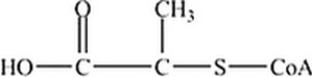 Which is the abbreviated structure of acetyl CoA? A)     B)     C)     D)    