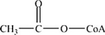 Which is the abbreviated structure of acetyl CoA? A)     B)     C)     D)    