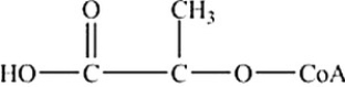 Which is the abbreviated structure of acetyl CoA? A)     B)     C)     D)    