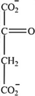 Which intermediate in the citric acid cycle contains two chirality centers? A)     B)     C)     D)    