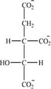 Which intermediate in the citric acid cycle contains two chirality centers? A)     B)     C)     D)    